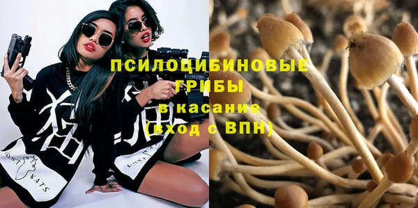 гашиш Арсеньев