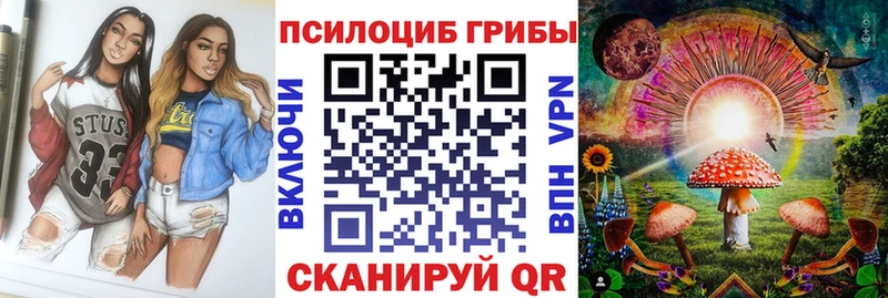 Галлюциногенные грибы Psilocybine cubensis  Новомосковск 