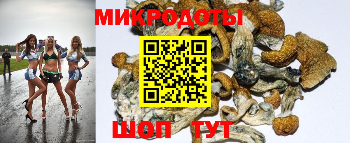 Псилоцибиновые грибы Magic Shrooms  Вход с VPN  Новомосковск  Псилоцибиновые грибы мухоморы 