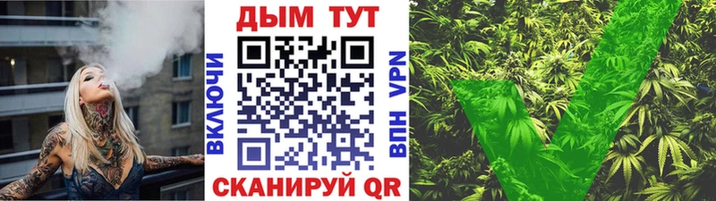 блэк спрут ссылка  Новомосковск  Бошки марихуана Ganja  сколько стоит 