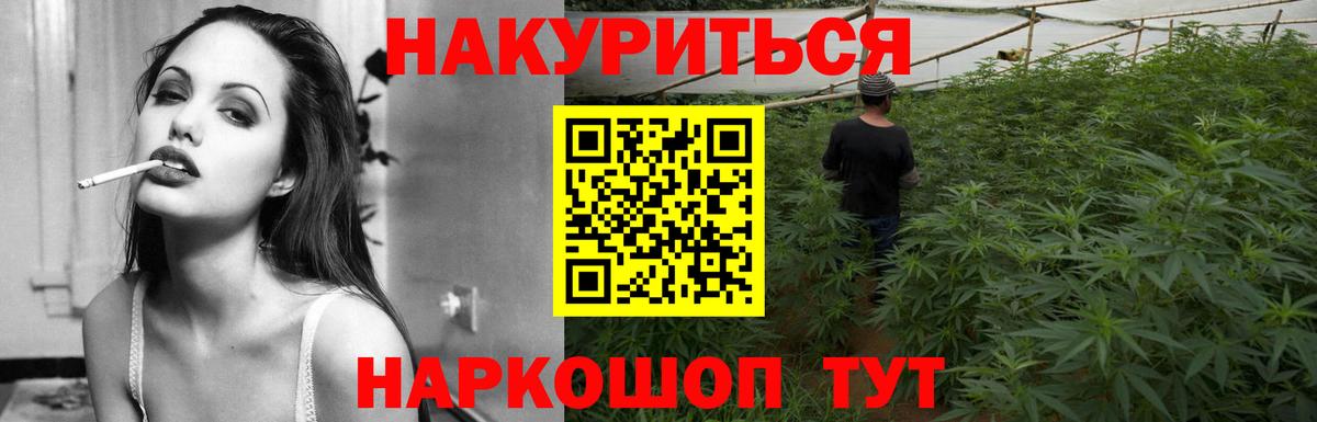 Конопля SATIVA & INDICA  Бошки марихуана THC 21%  Марихуана план  Вход с VPN  Новомосковск 