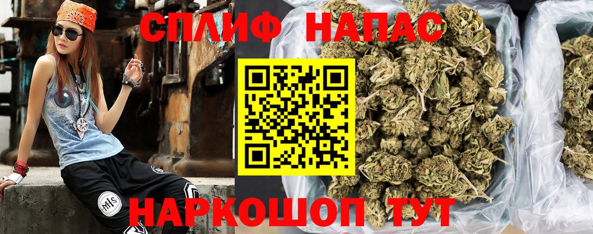 Конопля сатива Новомосковск